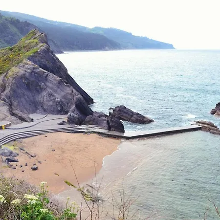 Ecologica Arrizurieta