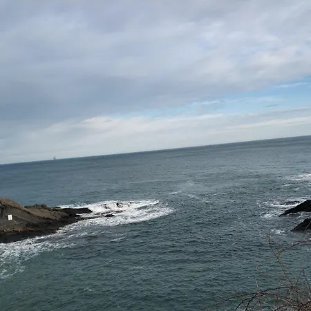 Ecologica Arrizurieta