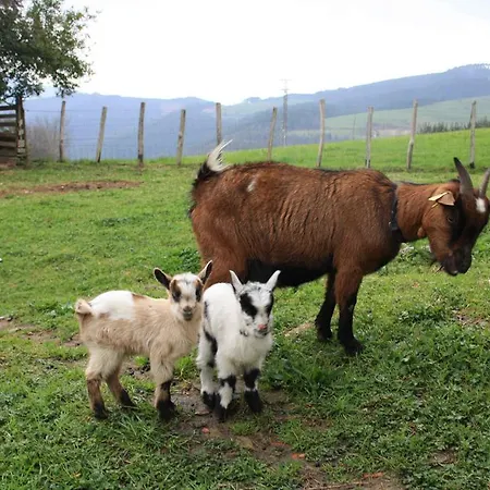 Ecológica Arrizurieta