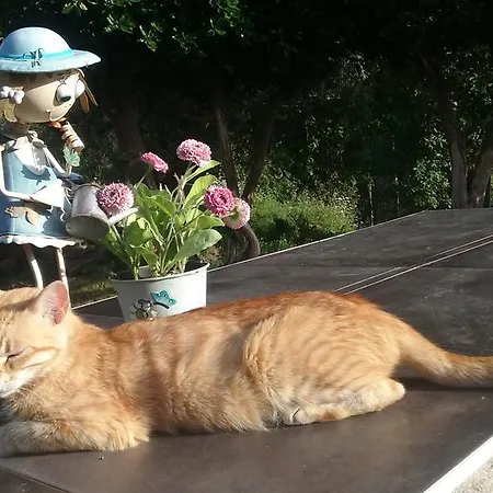 Country house Ecologica Arrizurieta