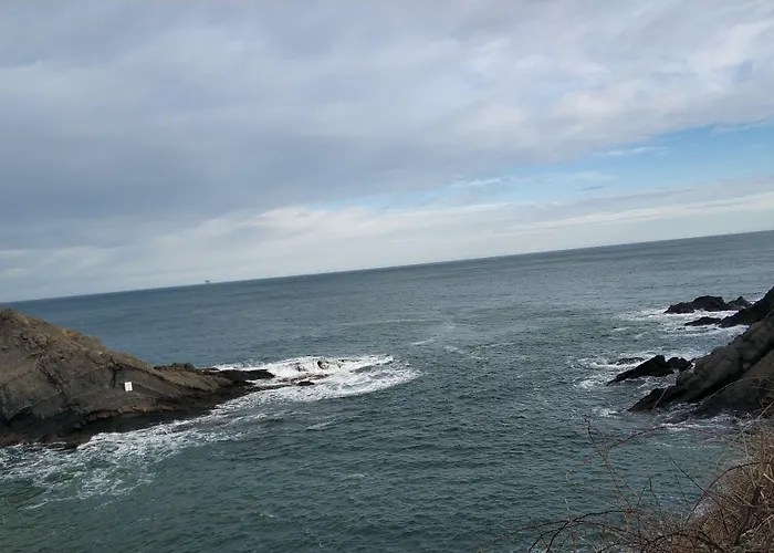 Ecologica Arrizurieta