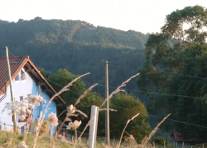 Country house Ecologica Arrizurieta *