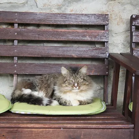 Ecologica Arrizurieta Bermeo