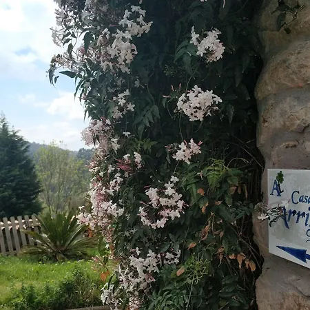 Ecologica Arrizurieta * Bermeo