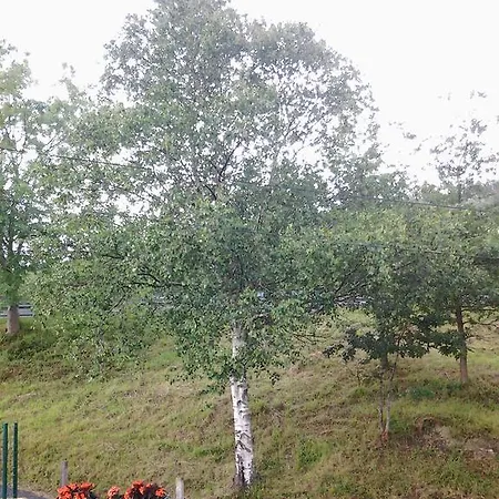 Ecologica Arrizurieta Bermeo