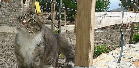 Ecologica Arrizurieta Hétvégi ház Bermeo