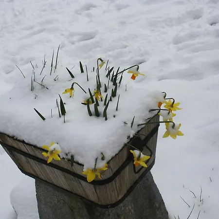 Ecologica Arrizurieta * Bermeo