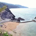Ecologica Arrizurieta