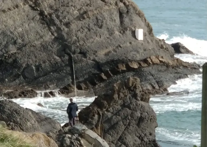 Ecológica Arrizurieta Bermeo