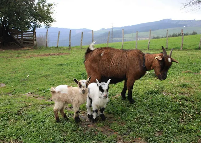 Ecológica Arrizurieta