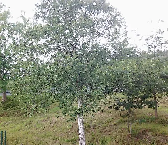 Ecológica Arrizurieta Bermeo