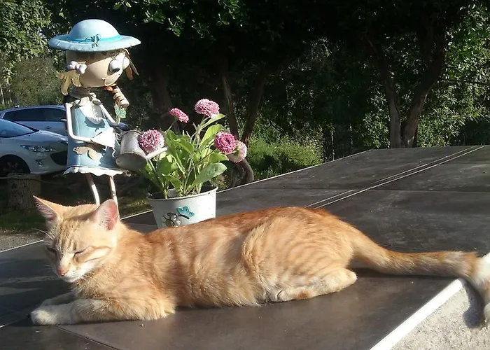 Casa rural Ecológica Arrizurieta