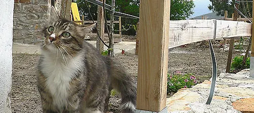 Ecológica Arrizurieta Casa rural Bermeo