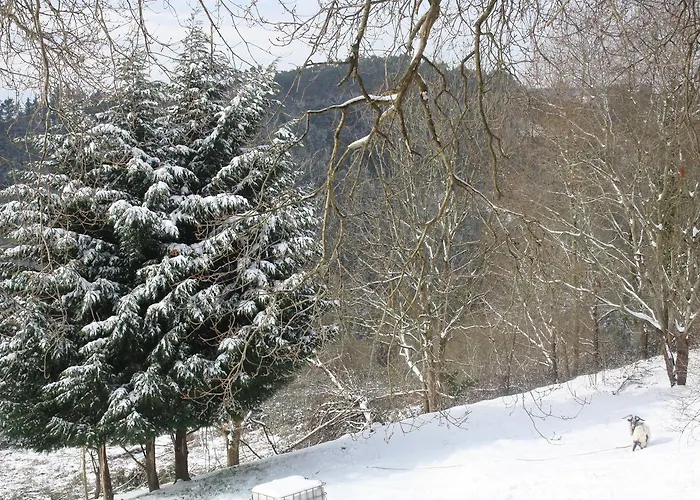 Ecológica Arrizurieta Casa rural