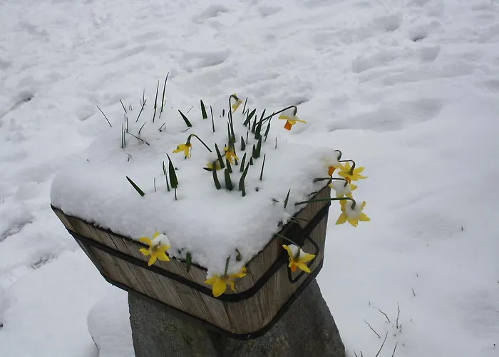 Ecológica Arrizurieta * Bermeo